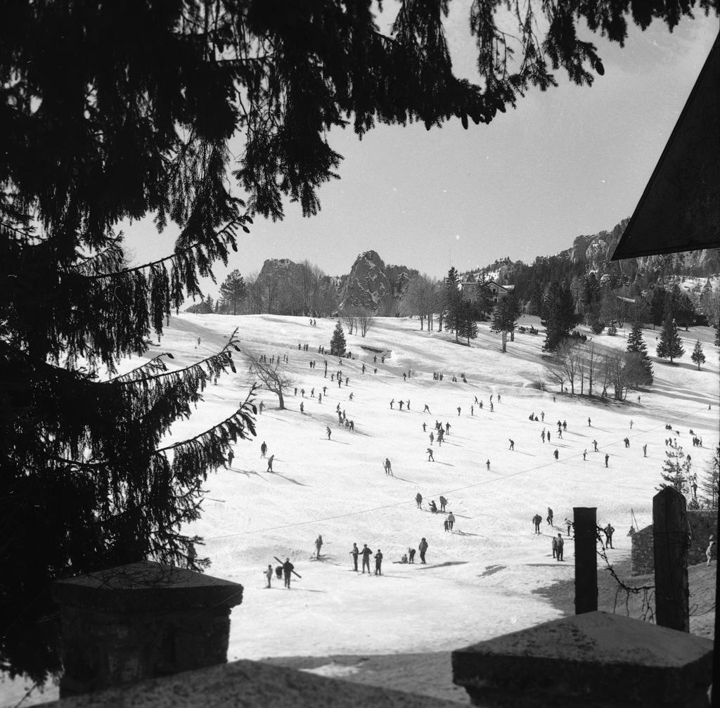 Vista sulla pista da sci · Historify