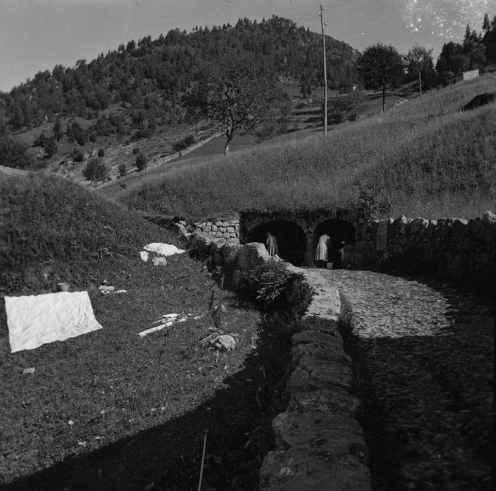 Donne al lavoro · Historify