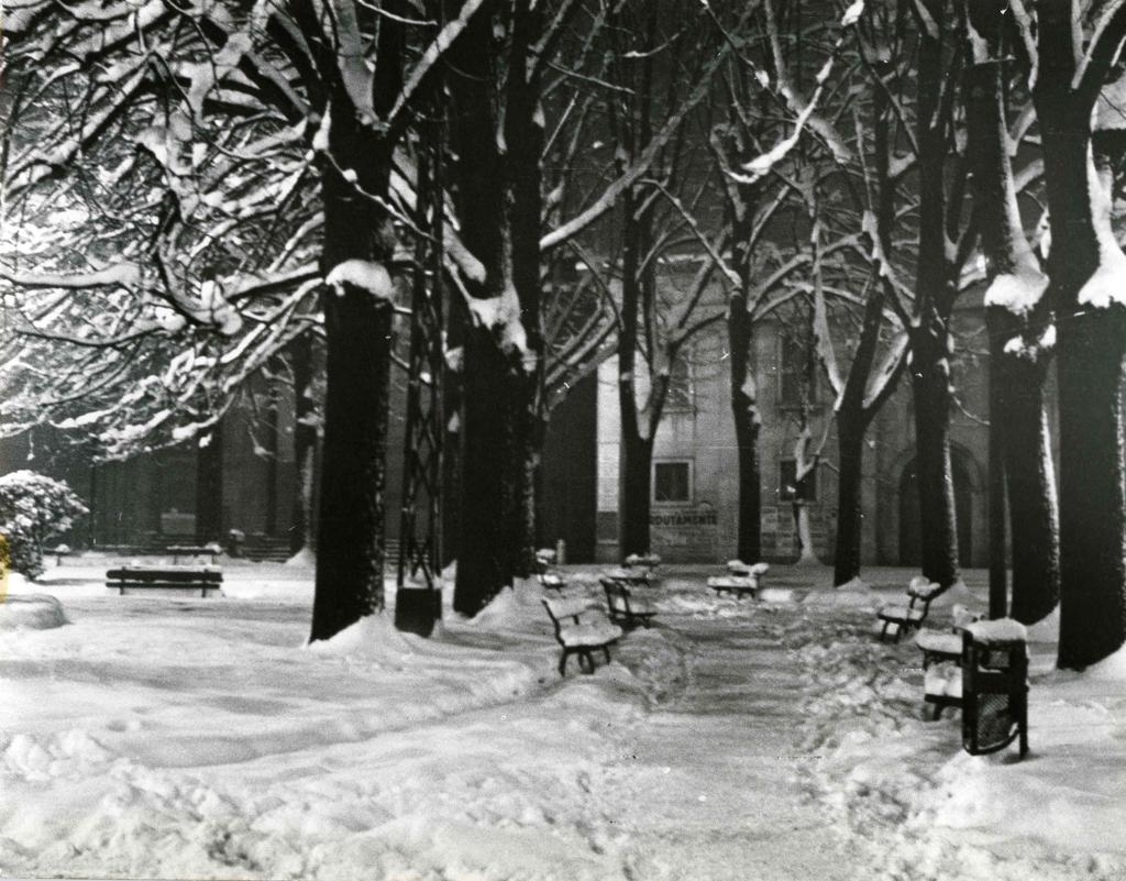 Panchine Innevate, Bergamo · Historify