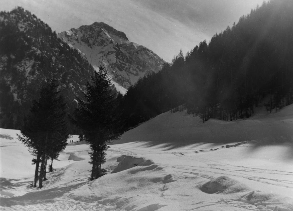 Piste Innevate · Historify