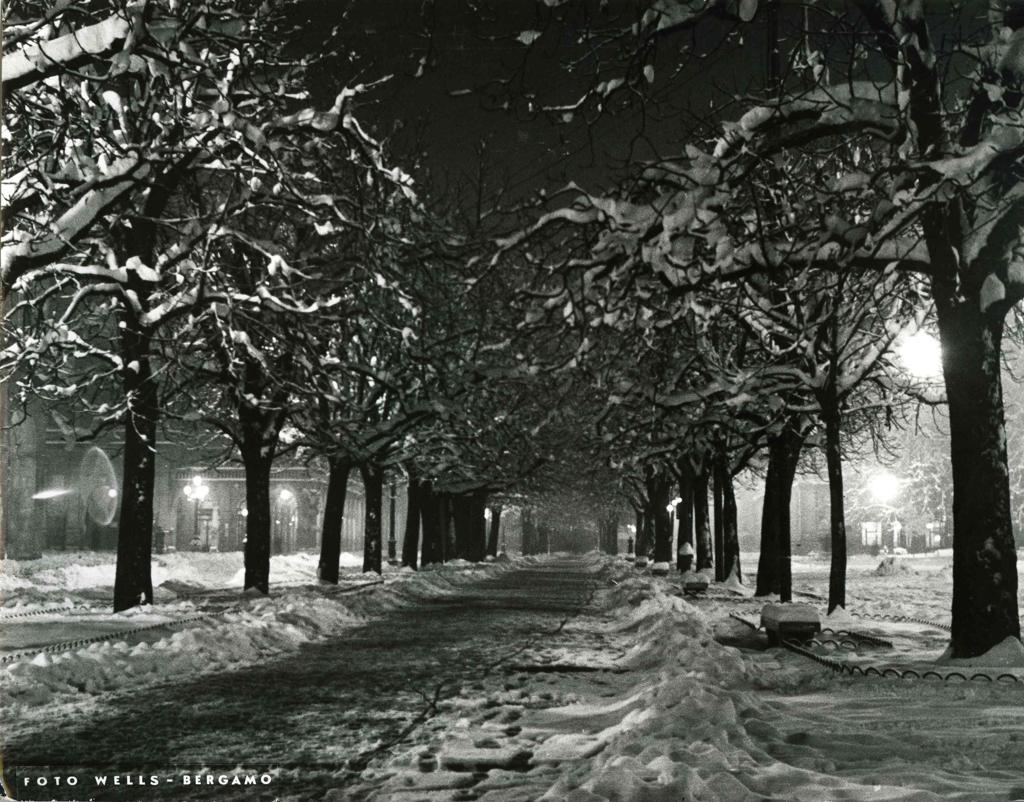 Alberi Innevati · Historify