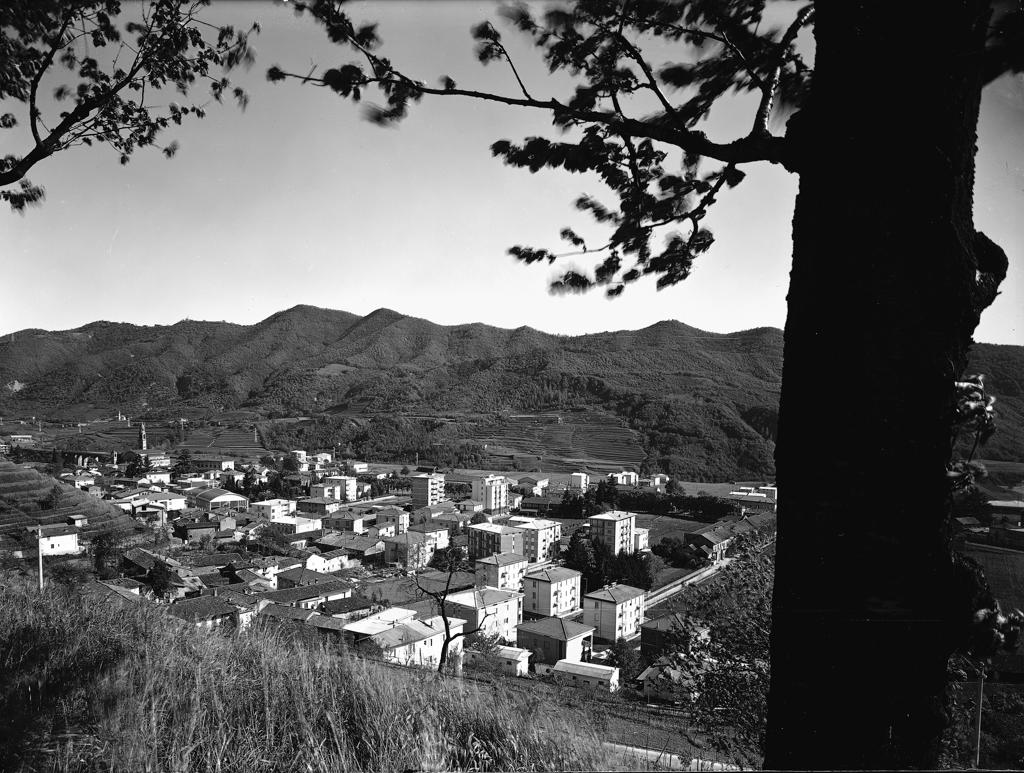 Paesaggio Con Albero · Historify