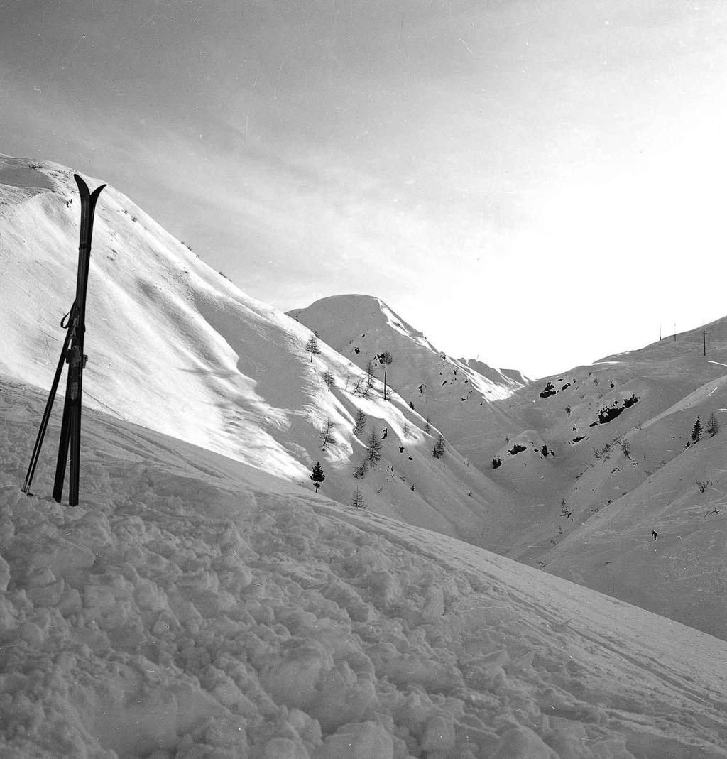 Sci Sulla Montagna · Historify