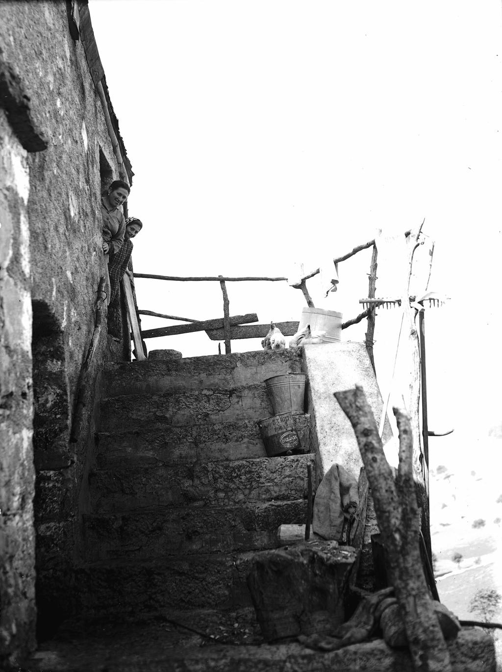 Vita Di Montagna · Historify