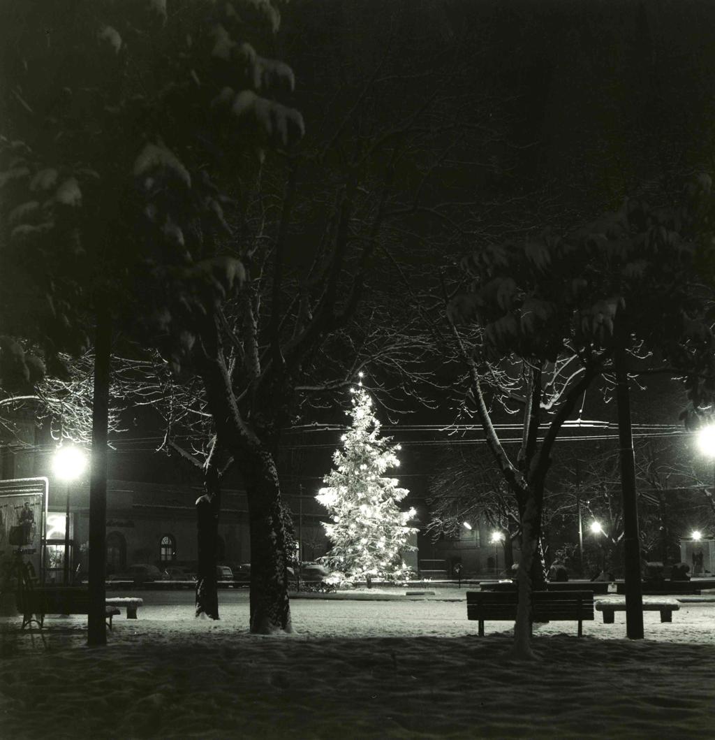 Albero Natalizio, Piazzale Stazione Ferroviaria · Historify