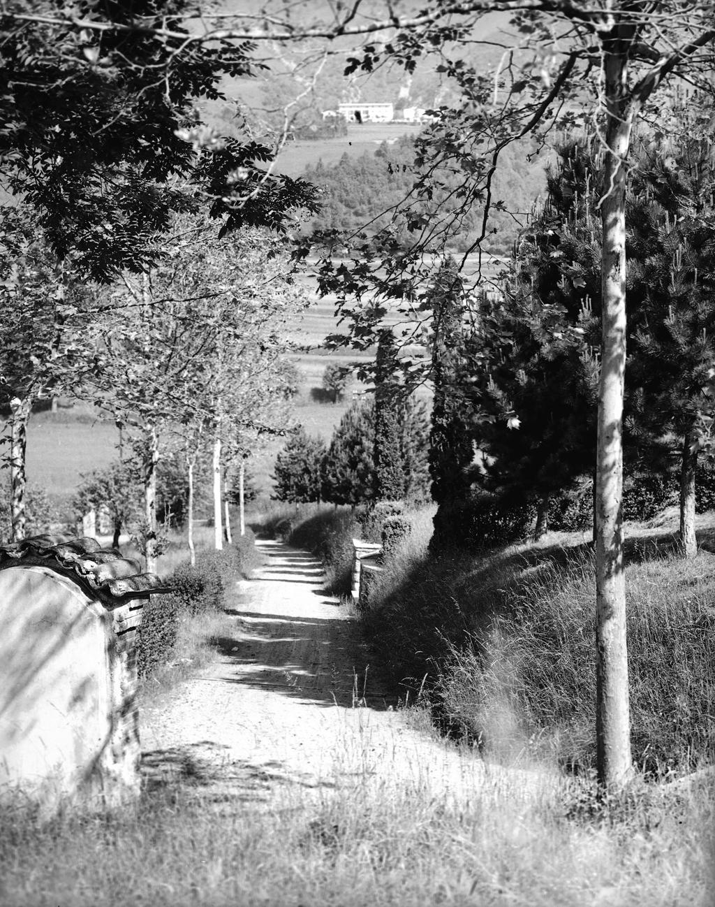 Strada nella natura e santella · Historify