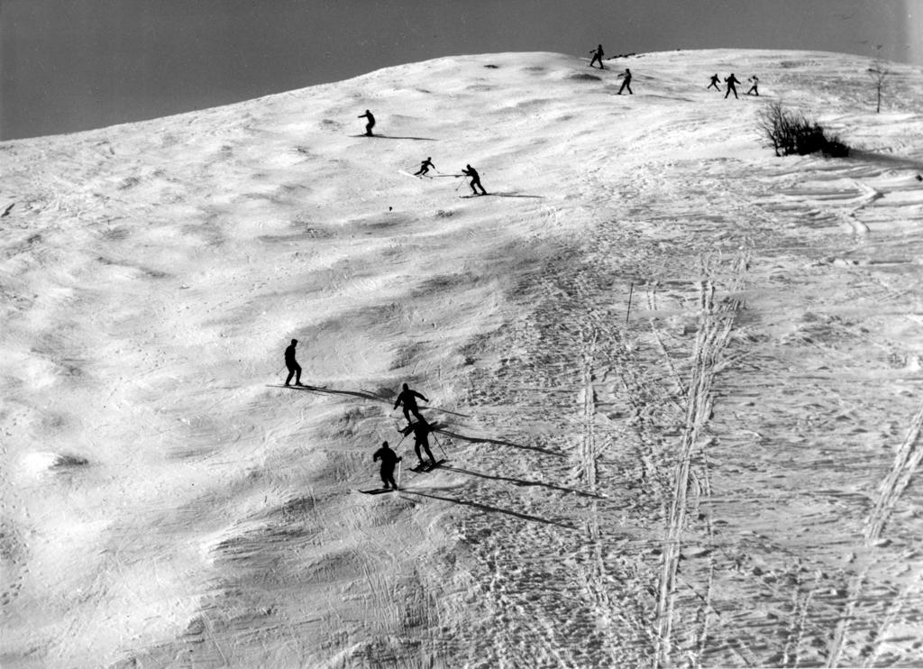Piste da sci, Selvino · Historify