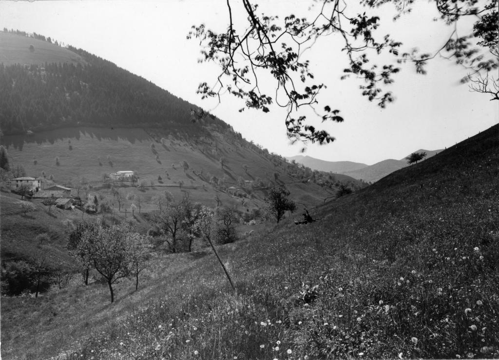 Montagne Di Vigolo · Historify