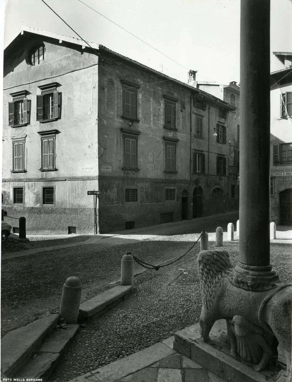 Leone bianco · Historify