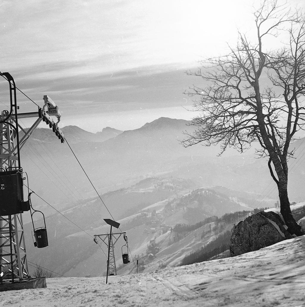 Impianto Di Risalita, Albero, Montagne Sullo Sfondo · Historify