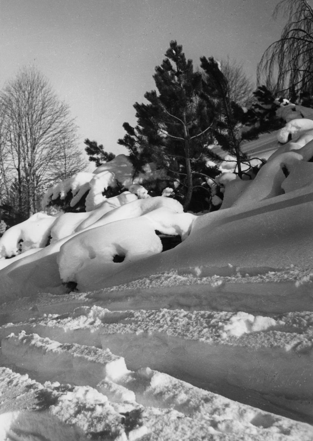 Paesaggio Innevato Alla Cantoniera Della Presolana · Historify