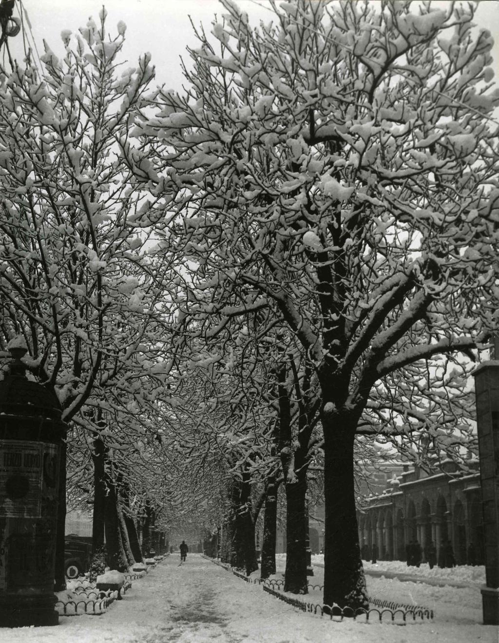 Invernale · Historify