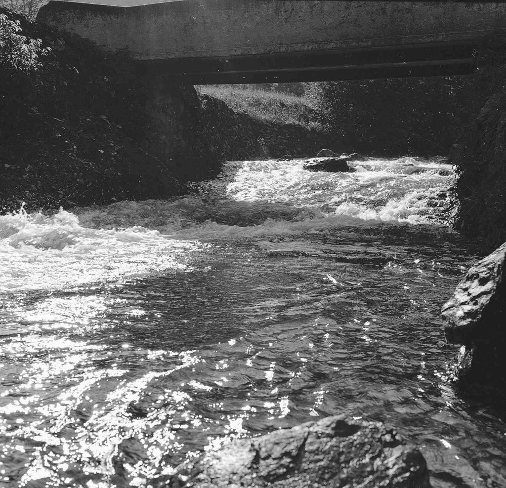 Fiume In Corsa · Historify