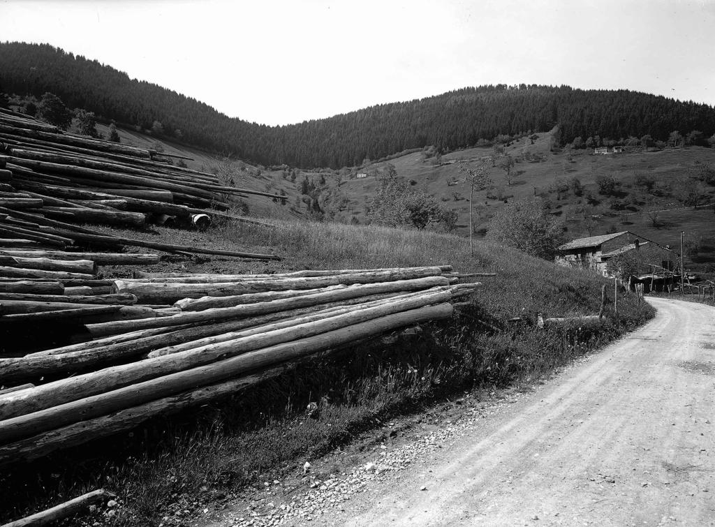 Vigolo Panorama E Dintorni · Historify
