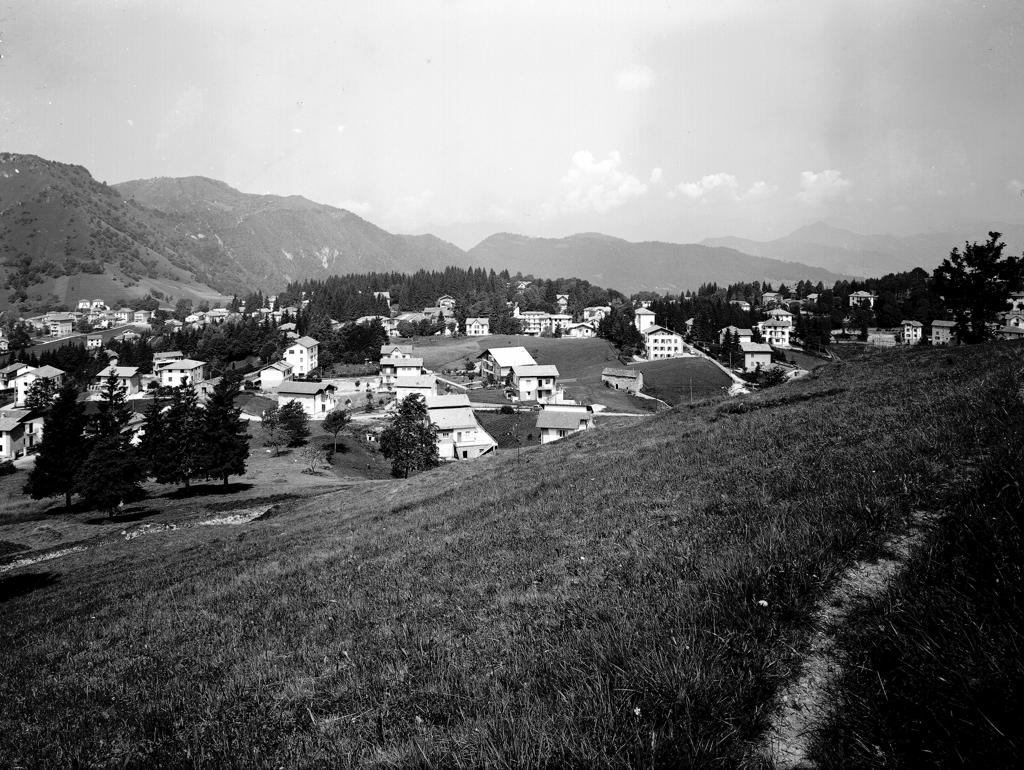 Paesaggio – Pineta, Case · Historify