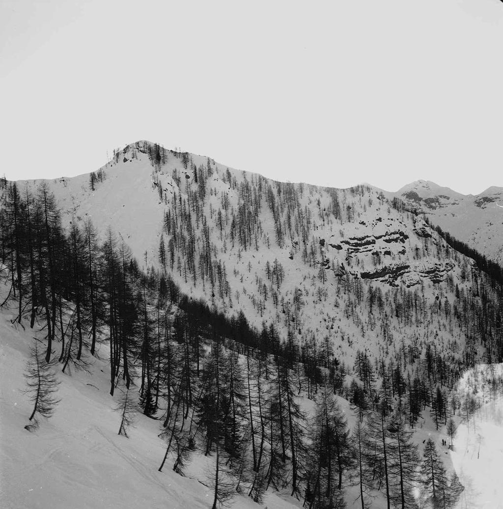 Paesaggio · Historify