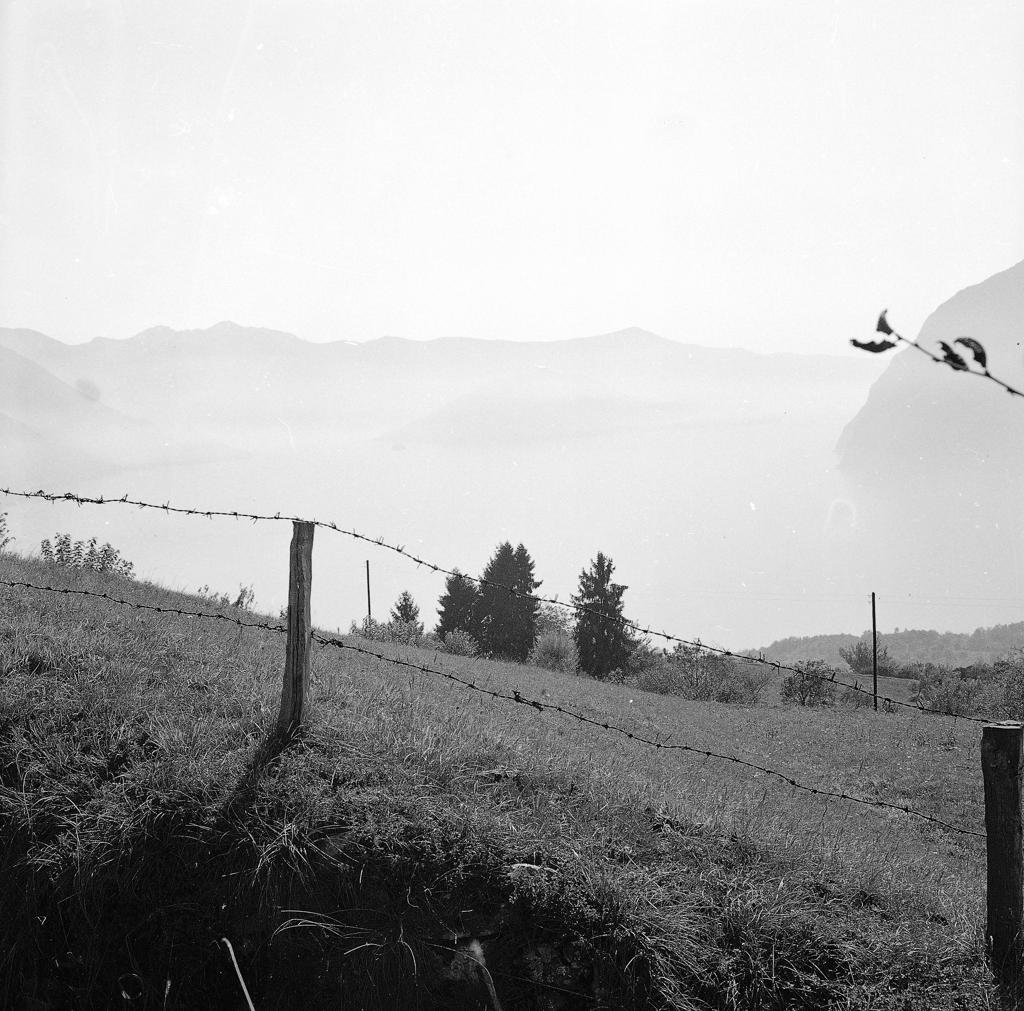 Paesaggio Montano · Historify
