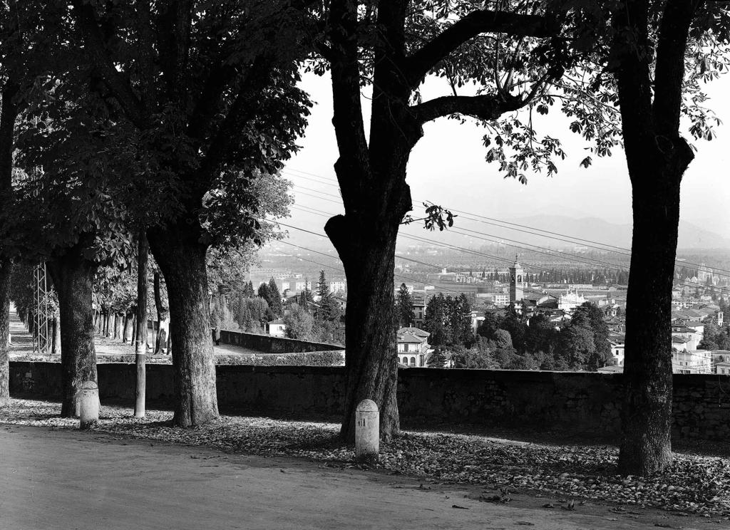 Viale Delle Mura · Historify