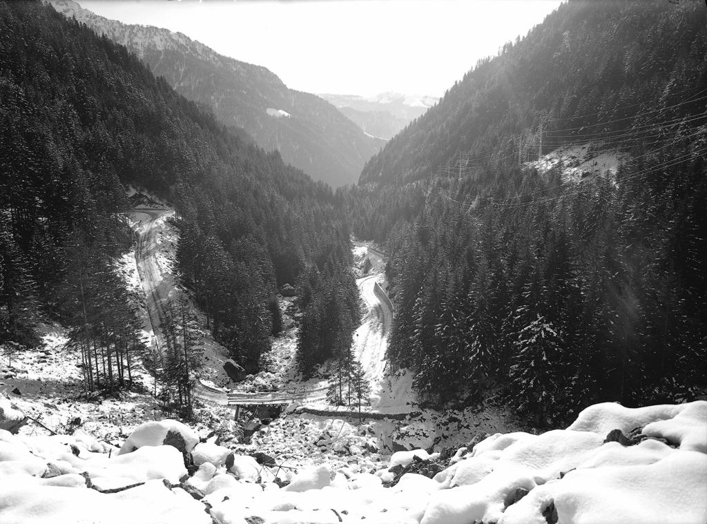 Sentiero Nella Pineta · Historify