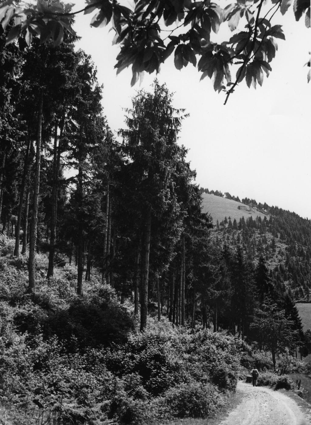 Paesaggio · Historify