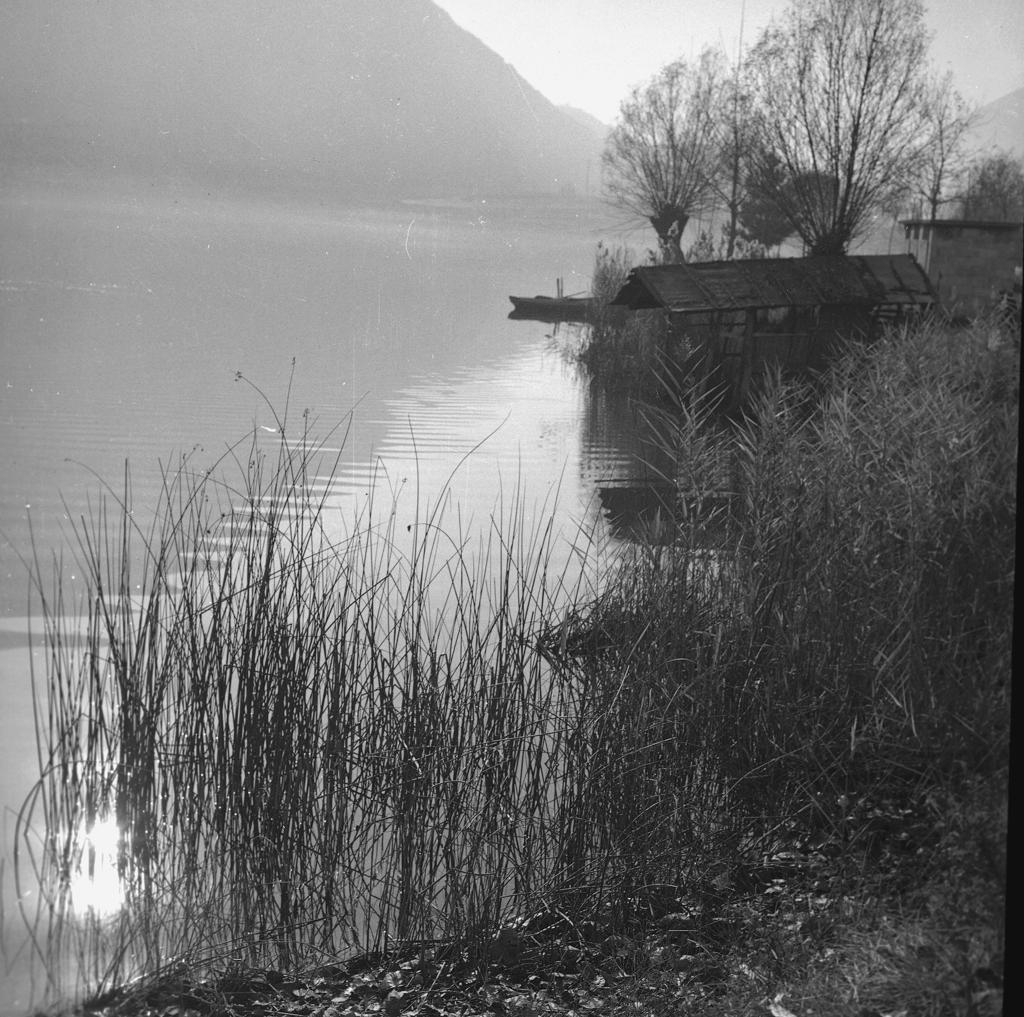 Paesaggio lacustre · Historify