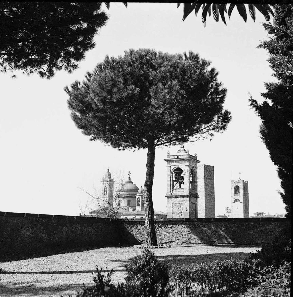 Torri E Campanili Visti Dalla Rocca · Historify