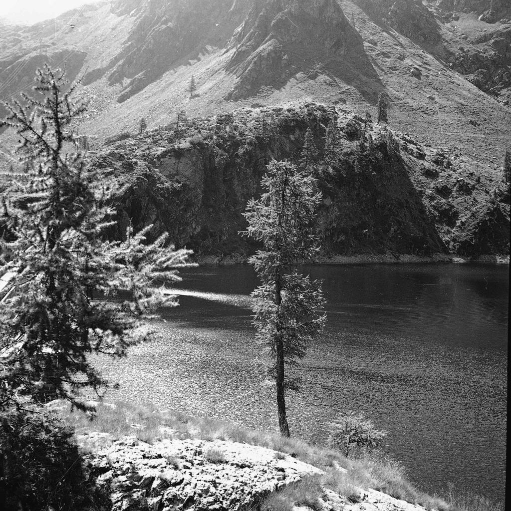 Il lago tra la vegetazione montana · Historify