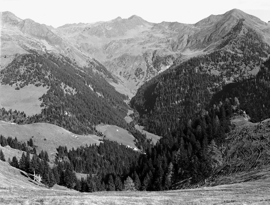 Montagne · Historify