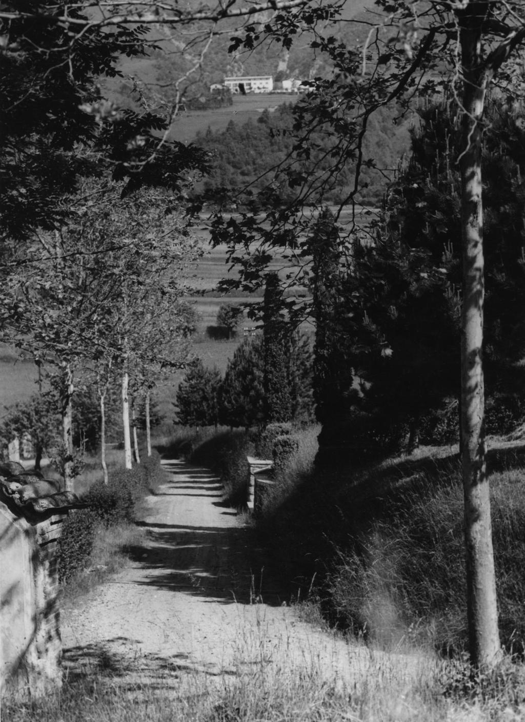 Sentiero Verso Birzem · Historify