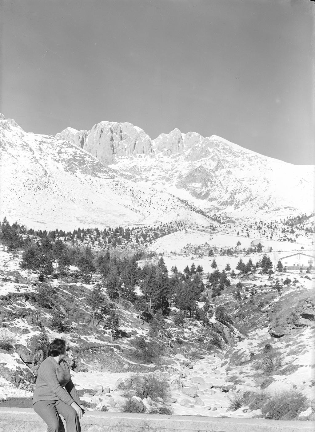 Paesaggio Montano · Historify