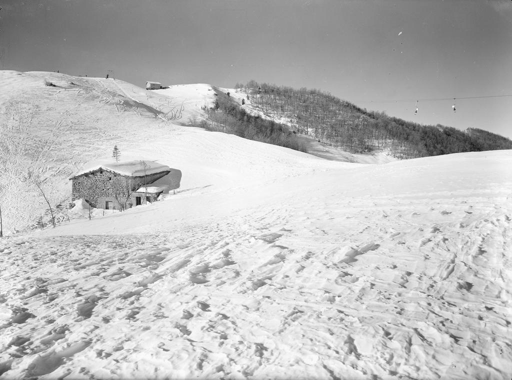 Rifugio, Sullo Sfondo Impianti Di Risalita · Historify