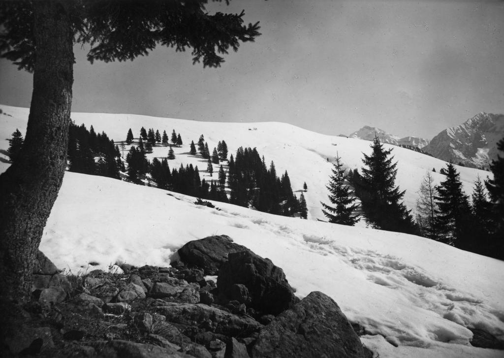 Paesaggio Innevato · Historify