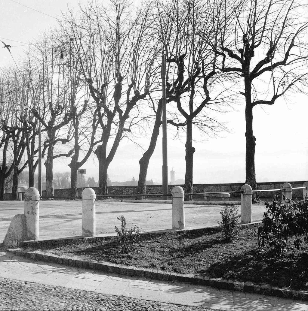 Viale Delle Mura · Historify