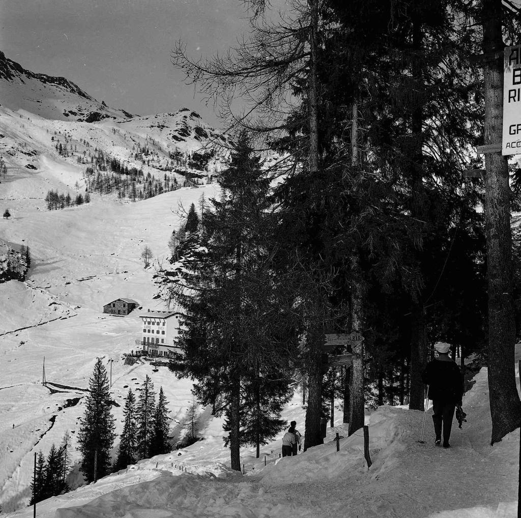 Passeggiata In Pineta · Historify