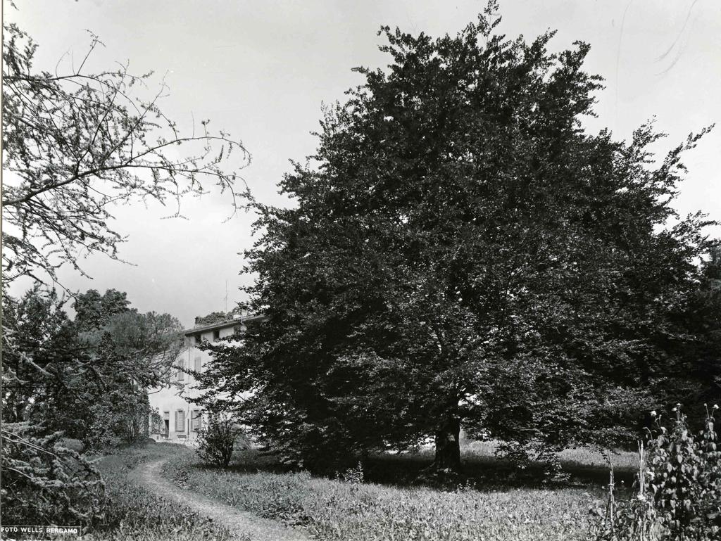 Parcovilla Grismondi Finardi · Historify