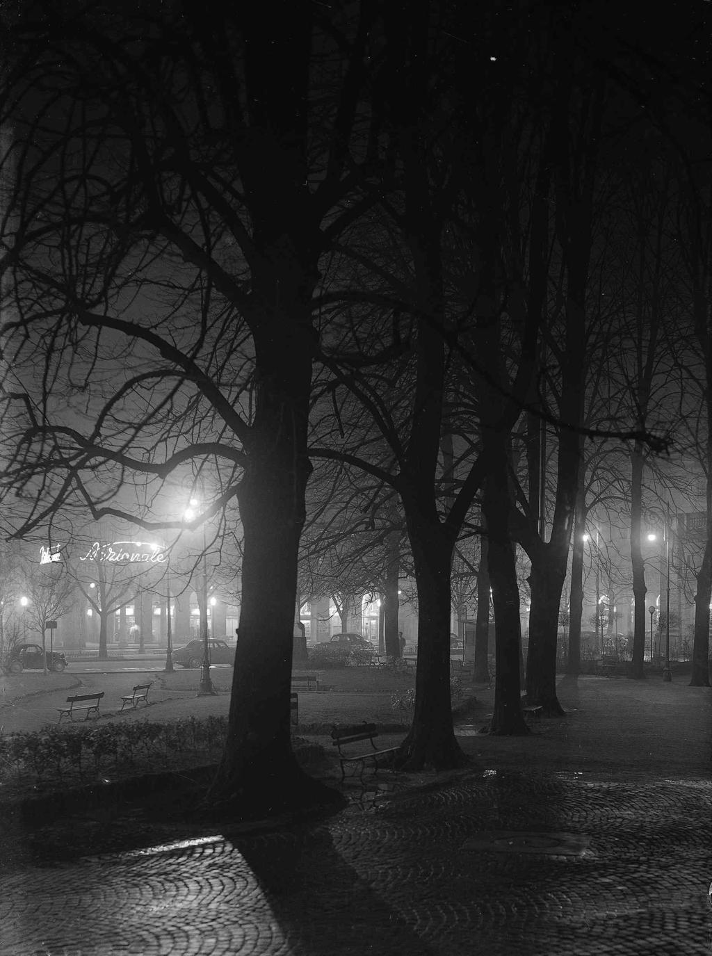 Viale Alberato · Historify