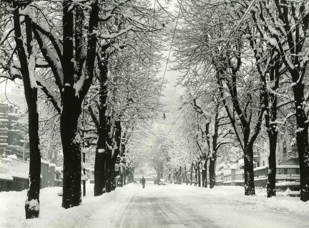 Viale Vittorio Emanuele innevato · Historify