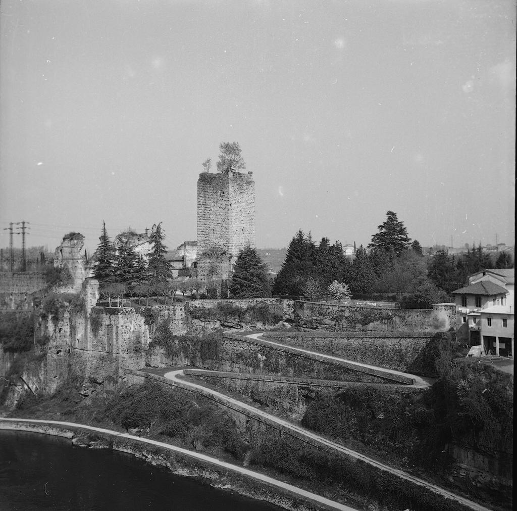Strada A Tornanti, Pineta, Torre Sullo Sfondo · Historify