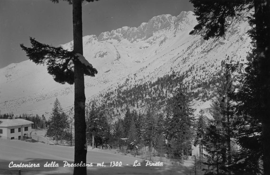 Pineta Innevata Della Cantoniera Della Presolana · Historify