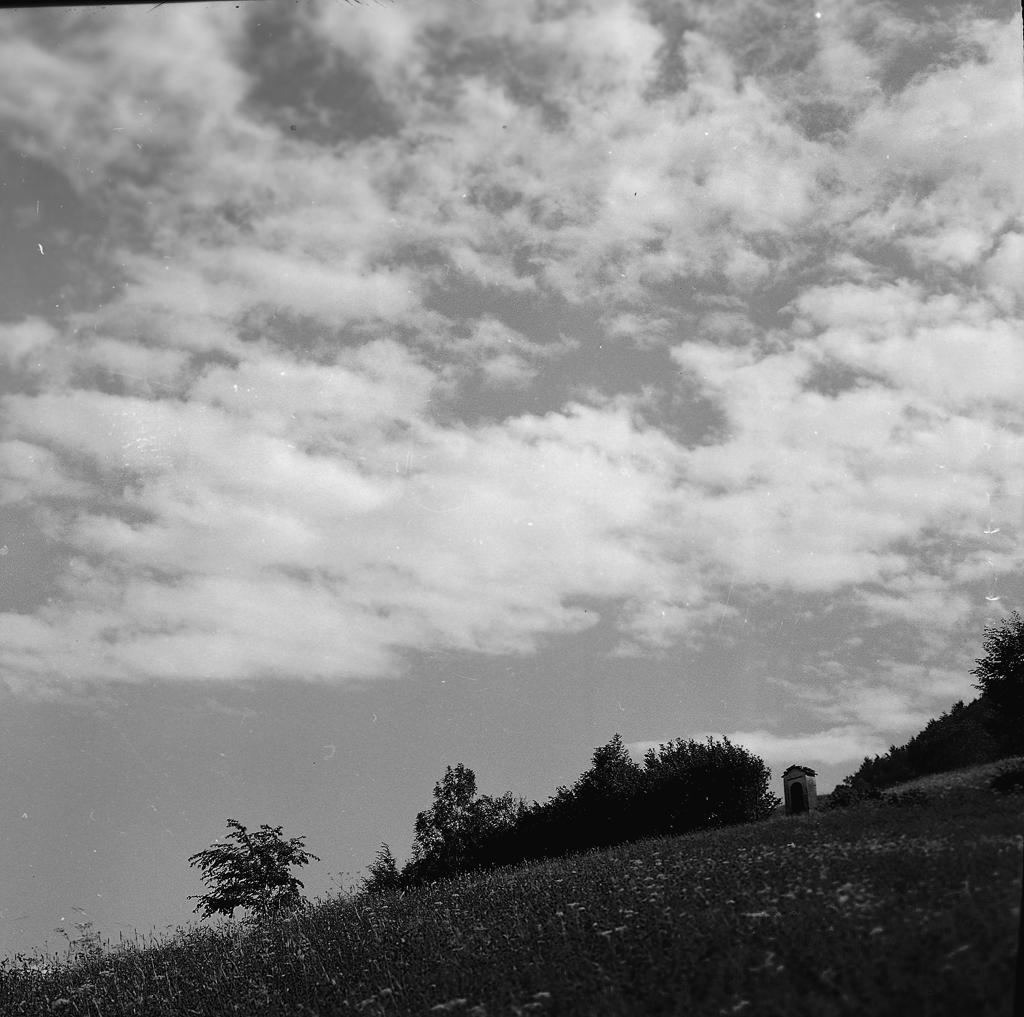 Paesaggio · Historify