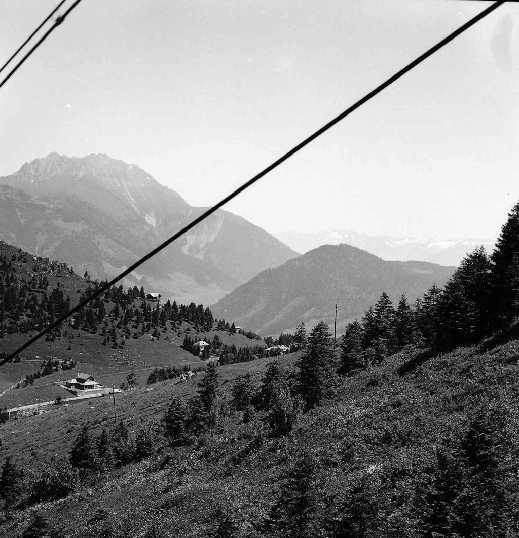 Paesaggio · Historify