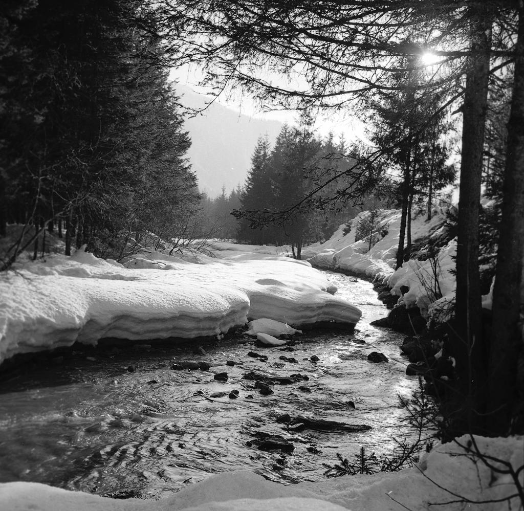 Paesaggio innevato · Historify