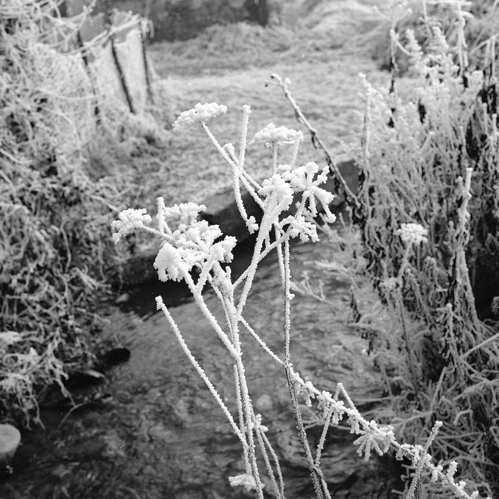 Paesaggio Invernale · Historify