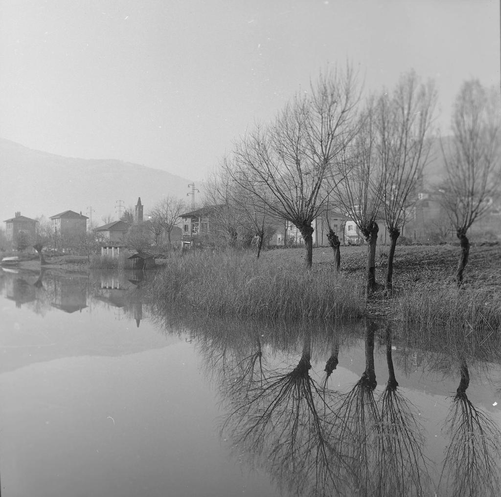 Riflessi nel lago a Spinone · Historify