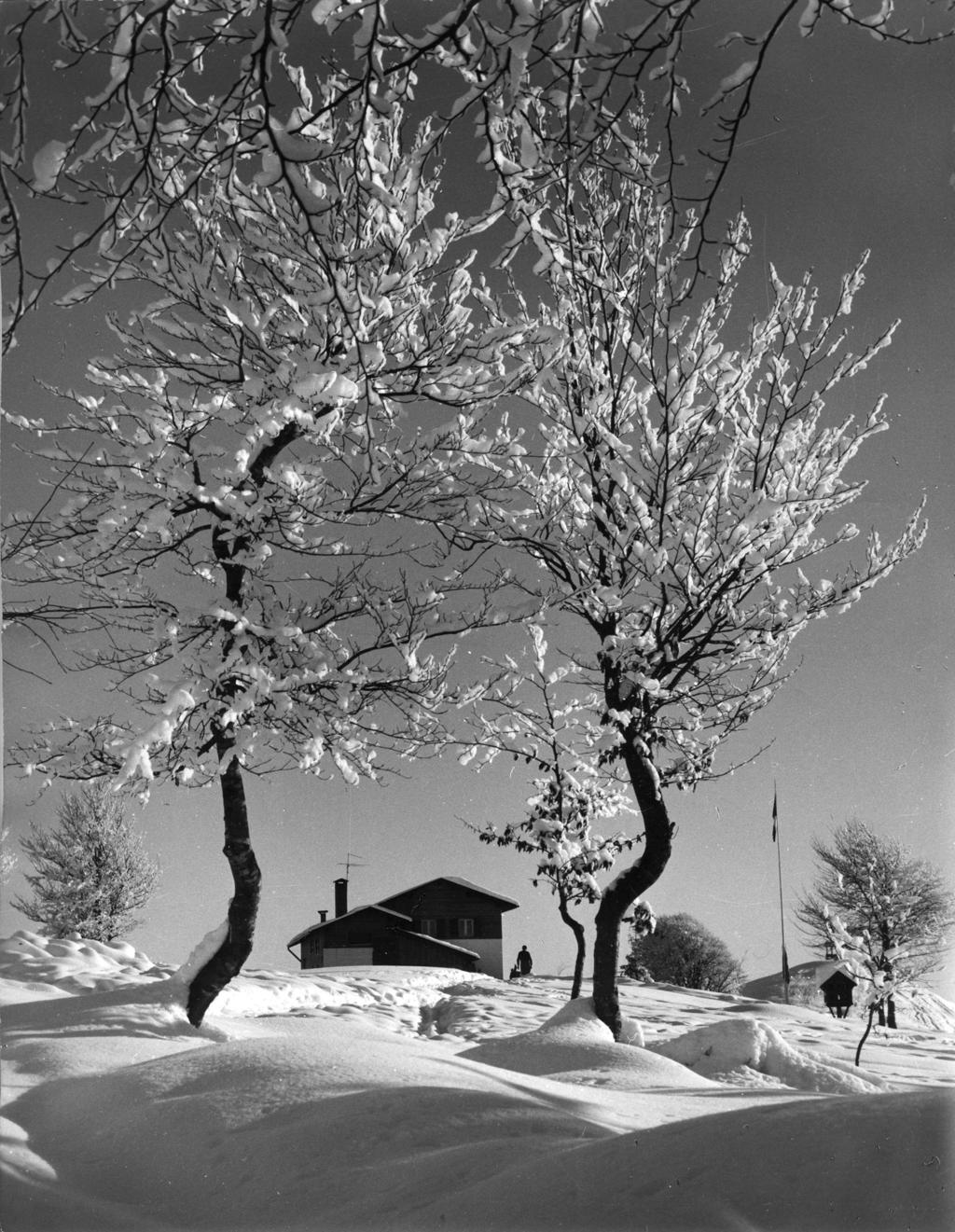 Rifugio Monte Poieto · Historify