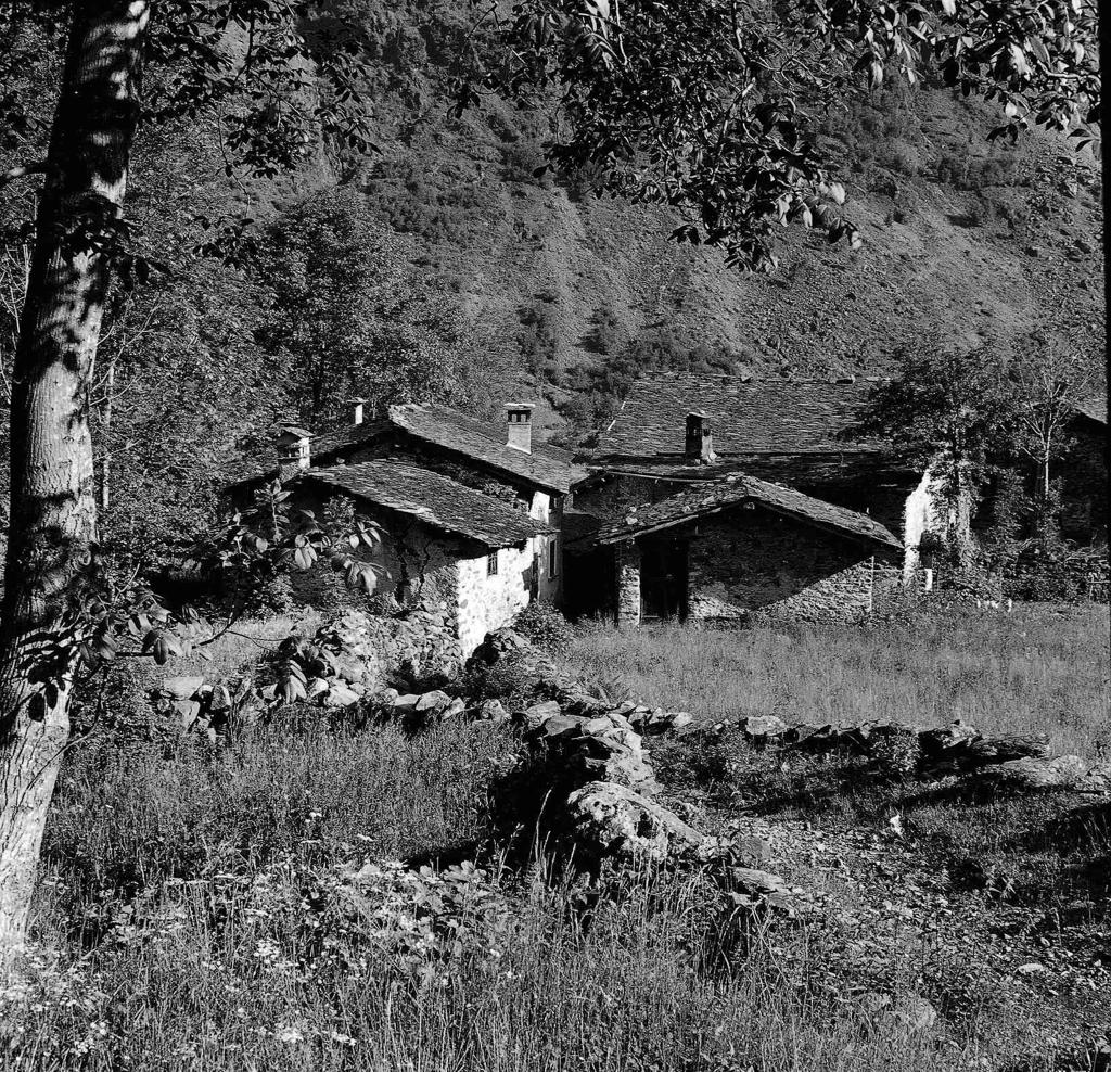 Case di montagna · Historify