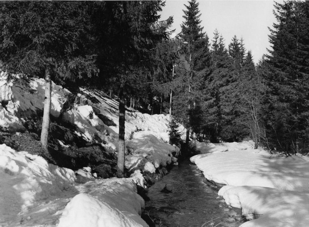Ruscello Tra La Neve · Historify