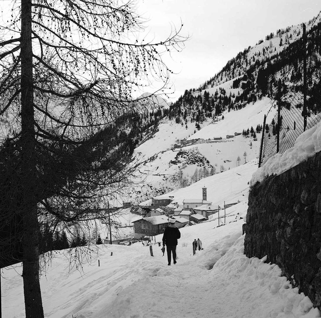 Passeggiata Sulla Neve · Historify