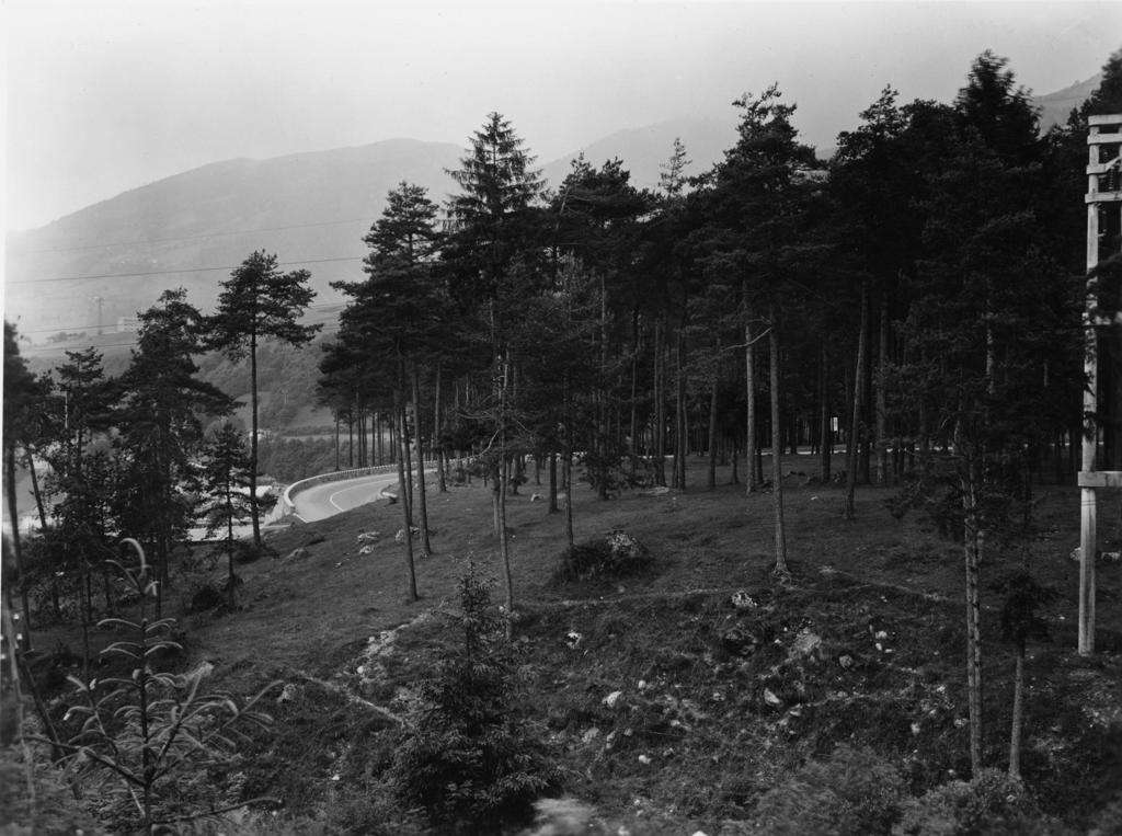 Pineta, Clusone · Historify