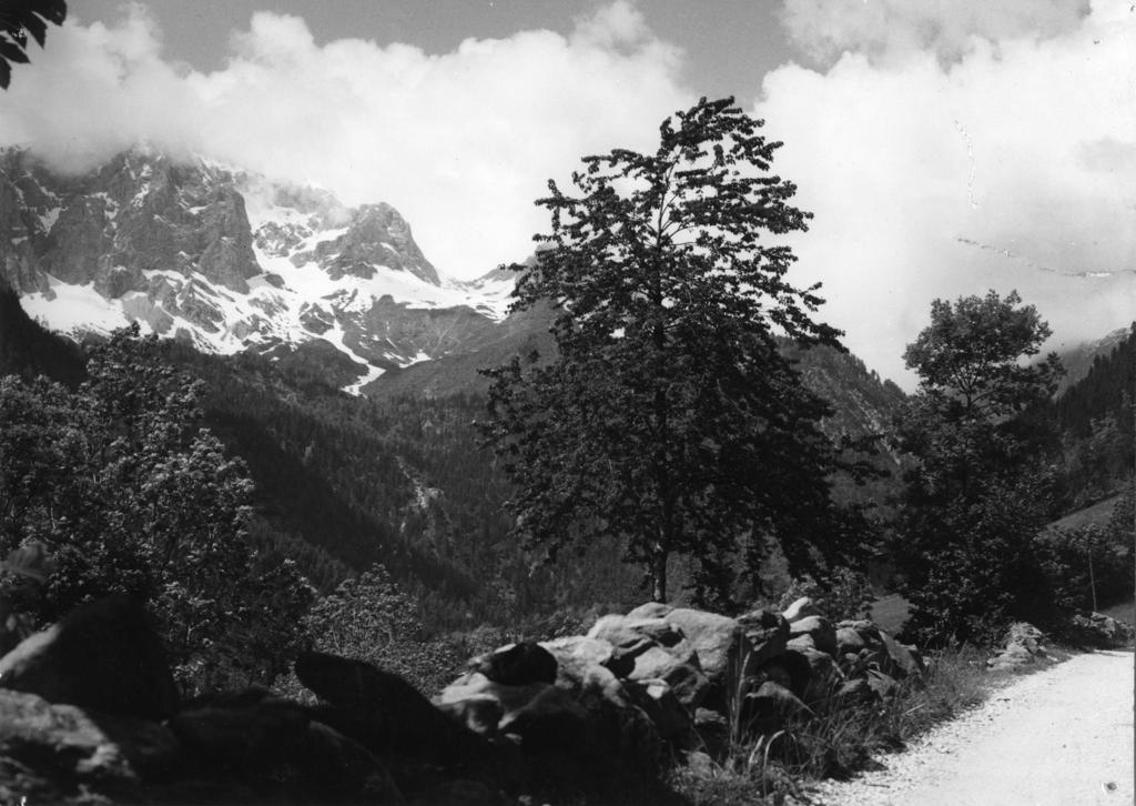 Guardando le montagne · Historify